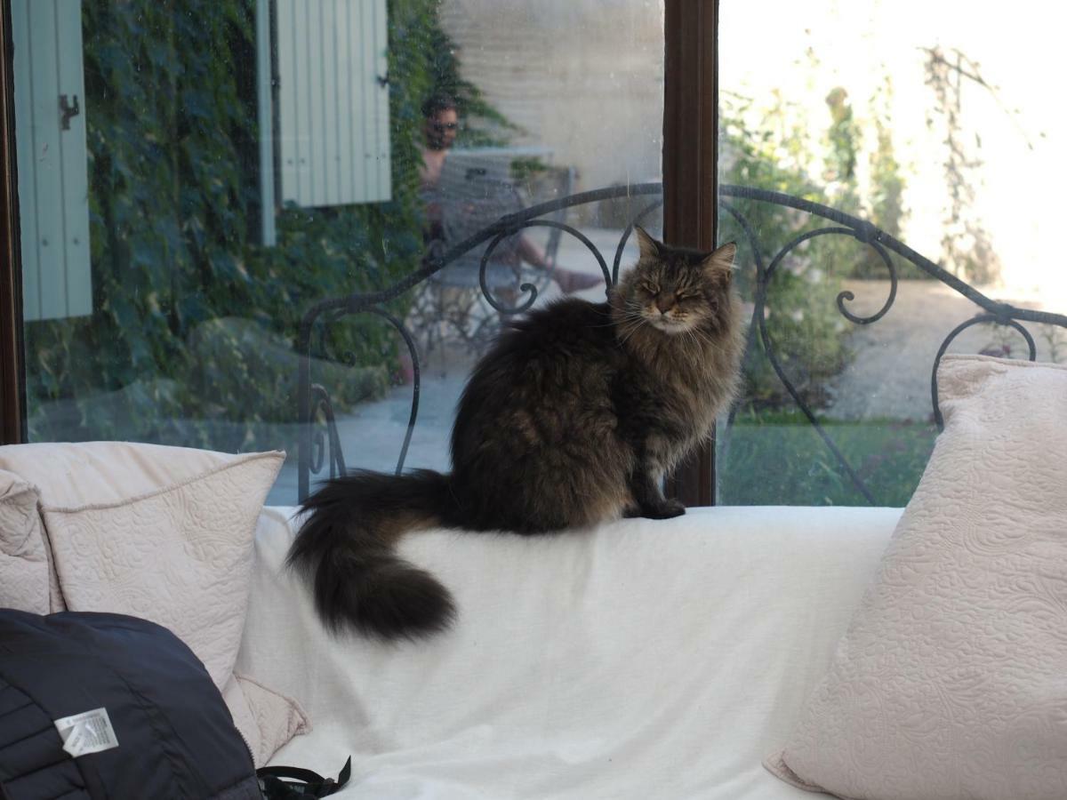 Le Chat Sur Le Toit Lourmarin Ngoại thất bức ảnh